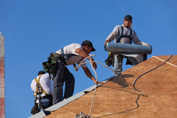 Best Commercial Roofing Services  in The Galena Territory, IL